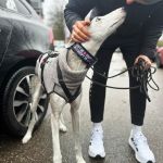 Theo_(Richi)_2026-02-17 at 20-15-14