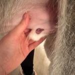 Theo_(Richi)_2026-02-18 at 21-10-57