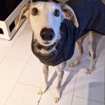 Theo_(Richi)_ 2026-02-19 at 21-11-27