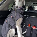 Theo_(Richi)_ 2026-02-20 at 21-11-27