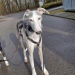 Theo_(Richi)_ 2026-02-22 at 21-11-27