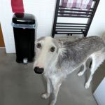 Theo_(Richi)_20260104_103244737