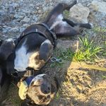 Tilda_20250404_181355