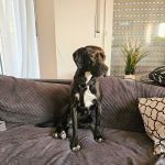 Tilda_20250415_193319