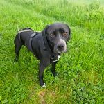 Tilda_20250422_172728