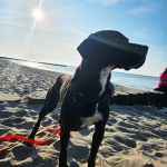 Tilda_20250501_183403