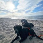 Tilda_20250503_181255