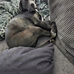 Tilda_20250506_194012