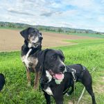 Tilda_IMG-20250422-WA0035