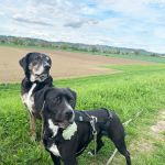 Tilda_IMG-20250422-WA0036