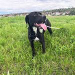 Tilda_IMG-20250422-WA0039
