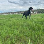 Tilda_IMG-20250422-WA0042