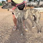 Tina_IMG_2930