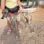 Tina_IMG_2936