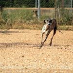 Tina_IMG_6269