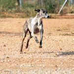 Tina_IMG_6270