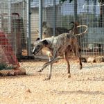 Tina_IMG_6277