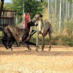 Tina_IMG_6278