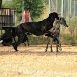Tina_IMG_6279