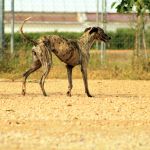 Tina_IMG_6280