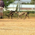 Tina_IMG_6284