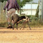 Tina_IMG_6286