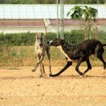 Tina_IMG_6287