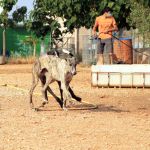 Tina_IMG_6289
