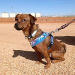 Titi_IMG-20261010-WA0061