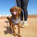 Titi_IMG-20261010-WA0073