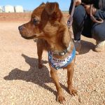 Titi_IMG-20261010-WA0086