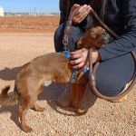 Titi_IMG-20261010-WA0094