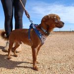 Titi_IMG-20261010-WA0097