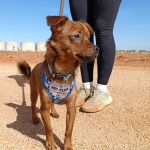 Titi_IMG-20261010-WA0107
