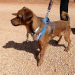 Titi_IMG-20261010-WA0123