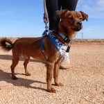 Titi_IMG-20261010-WA0138