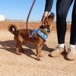 Titi_IMG-20261010-WA0143
