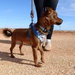 Titi_IMG-20261010-WA0144