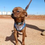 Titi_IMG-20261010-WA0160