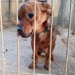 Titi_IMG_20261015_190508