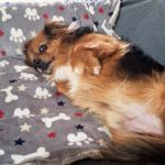 Tobi_2026-02-16 at 13-37-11