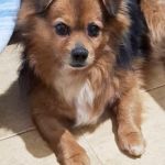 Tobi_2026-02-24 at 10-20-52