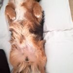 Tobi_2026-03-05 at 11-46-19