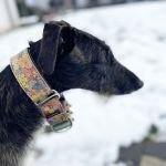 Togo_2026-01-28 at 10-42-37