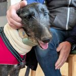 Togo_2026-01-28 at 10-42-60