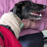 Togo_2026-01-28 at 10-42-61