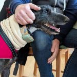 Togo_2026-01-28 at 10-42-62