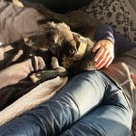 Togo_2026-01-28 at 10-42-65