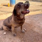 Trufa_IMG_1682