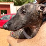 Turron_IMG-20260621-WA0067